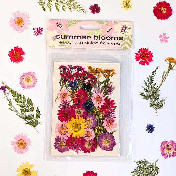 Dried Pressed Flower Sets